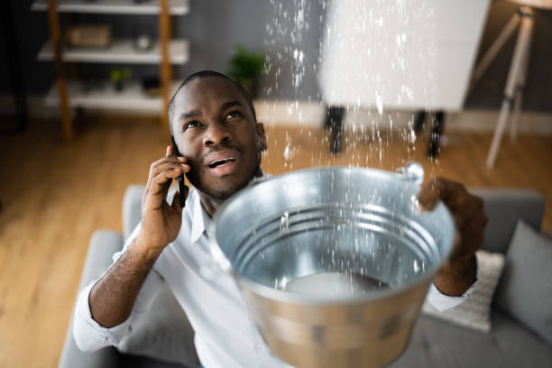 Best Ceiling water damage repair  in Hybla Lley, VA