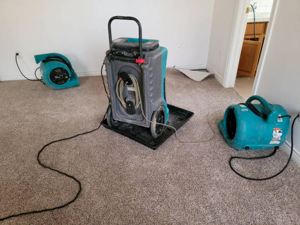 Best Water damage contractors near me  in Hybla Lley, VA