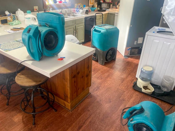 Best Residential water damage restoration  in Hybla Lley, VA