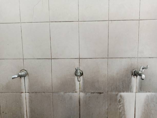 Best Water damage cleanup near me  in Hybla Lley, VA