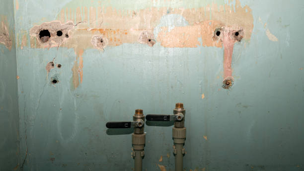 Best Flood damage cleanup  in Hybla Lley, VA