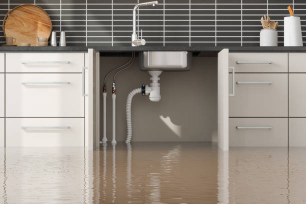 Best Emergency water damage restoration  in Hybla Lley, VA