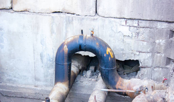 Best Water damage restoration specialists  in Hybla Lley, VA