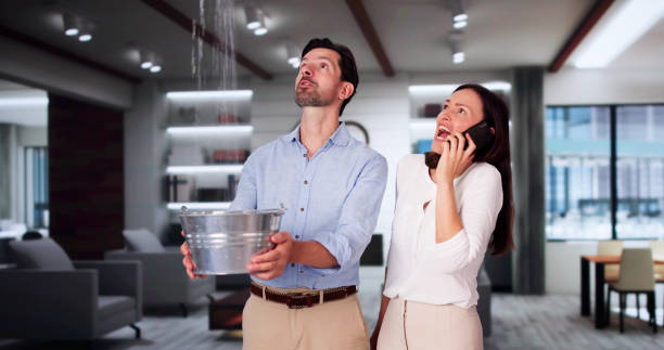 Best Carpet water damage restoration  in Hybla Lley, VA